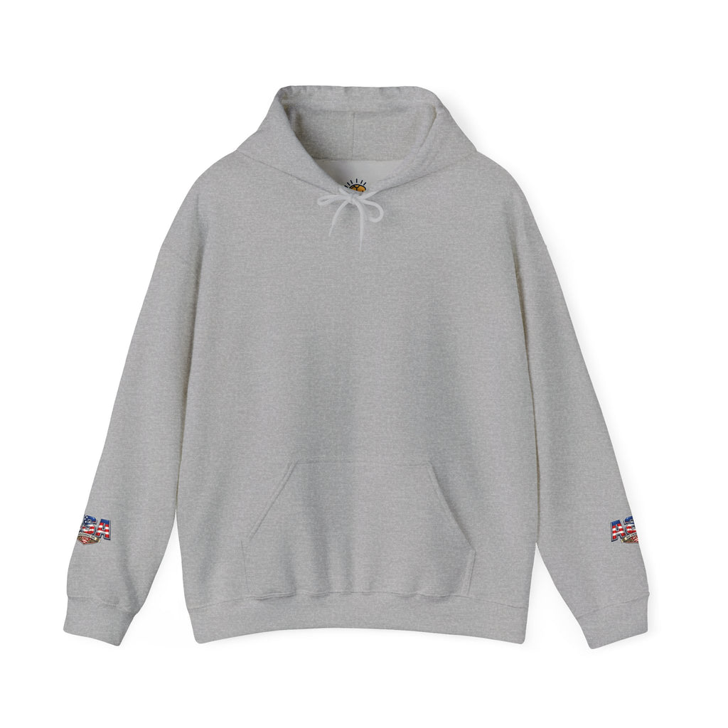 Independence Day 1776 Hoodie – 4th of July Patriotic Eagle Sweatshirt